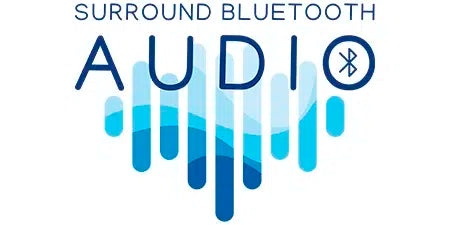 BLUETOOTH AUDIO FÜR SPA