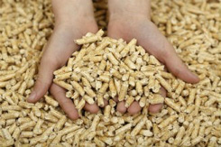 Pelletkachel Biomassaketel kopen? Lees hier en nadelen